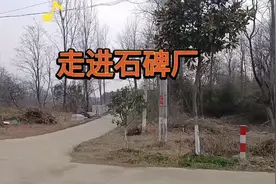 清明祭祖扫墓，正遇太平盛世。彰祖宗之功德，表后世之虔诚视频封面