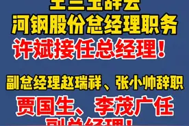 河钢股份有限公司变更公司高级管理人员视频封面