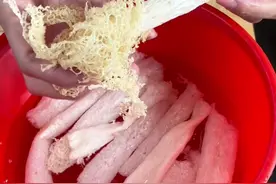 竹荪的做法，记得收藏，夏天来了，觉得其他汤没什么味道怕油腻的，家有老人怕糖的安排上视频封面