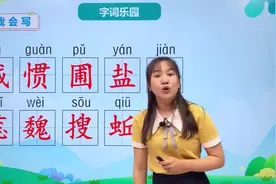 六年级下册人教版语文第五单元15.1真理诞生于一百个问号之后视频封面