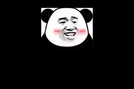 家有一只“找财喵”，真的是一件很幸福的事呢#铲屎官的乐趣 视频封面