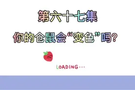 仓鼠篇第67集：你的仓鼠会“变色”吗？#仓鼠 #金丝熊宝宝 #金丝熊日常 #萌宠
