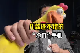 推荐几款现在比较“冷门”的几款手机！看看有没有你正在用的？视频封面
