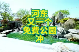 天津又一个有山有水的免费公园#中式园林 #天津网红打卡景点视频封面