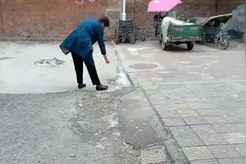 柳絮也是药视频封面