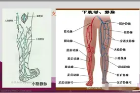 #热门 #医学影像 #超声医学#下肢血管检查视频封面