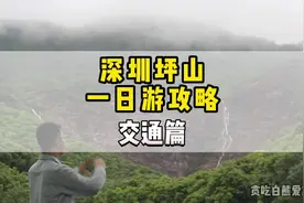 深圳放假去哪玩？#马峦山 给你安排了，坪山一日游攻略交通篇视频封面