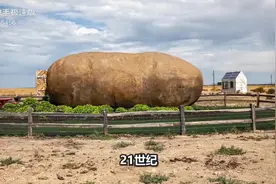 #盘点世界上12种超巨型蔬果，一颗马苓薯重6吨，这大小都是逆天吗视频封面
