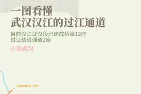 #看武汉 一图看懂武汉汉江已建成的12座桥梁2座轨道过江通道#武汉#建桥之都 #大武汉 #抖音小助手视频封面