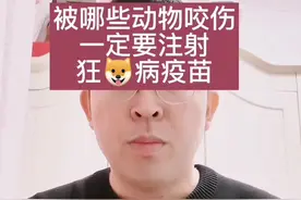 哪些动物咬伤需要打狂🐶病疫苗#宝妈 #咬伤 #咬伤要打针吗 视频封面