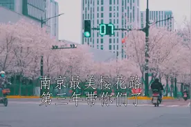 南京最美樱花路，第三年带你们来了#成长力计划