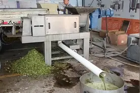 白菜脱水处理先撕碎机撕碎再进入螺旋压榨机脱水#蔬菜脱水视频封面