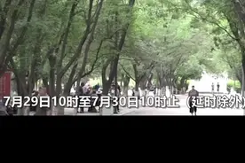 山东聊城黑老大获刑25年，名下劳斯莱斯被拍卖视频封面
