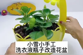 洗衣液瓶子做简易花盆教程#废物利用 #洗衣液瓶改造 #手工视频封面
