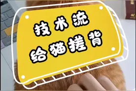 给猫搓背技术流示意#猫咪冷知识 #吸猫视频封面