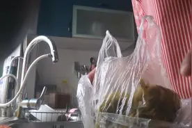 今天做一道我自创的红烧肉炖咸菜，特下饭我不爱吃肉也能吃几块。