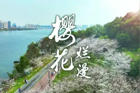 黄石团城山公园樱花烂漫#春天 #樱花视频封面