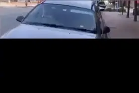 #狗狗狂按喇叭呼叫主人 主人，你死哪去了？还不来接我！😓视频封面