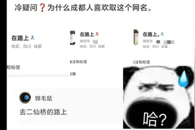 成都的“在路上”是什么梗 #专治不开心 #网友神评论视频封面