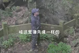 这种会喷烟雾的蘑菇有看到过吗？快来瞧瞧！ #dou上热门 #dou出新知