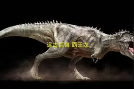 远古巨兽霸王龙#恐龙 #神奇动物在抖音 #恐龙之王霸王龙视频封面