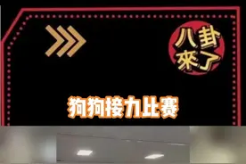 来欣赏下激烈的“狗狗接力比赛”，好精彩！心疼一下最后的腊肠崽崽，它真的尽力了！！！ 视频封面