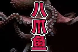 八爪鱼，章鱼，乌贼，鱿鱼，墨鱼你到底分得清吗？最后附带八爪鱼料理秘籍！#涨知识
