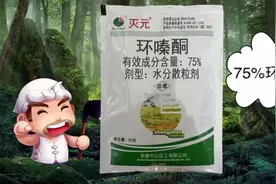 环嗪酮，开荒除草，房前屋后，使用方便，可喷雾、可撒施视频封面