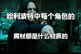 奥利凡德出手的魔杖有几种仗芯？#哈利波特 #抖音小助手 抖音嗖【小酒窝答案揭秘】打开小程序，输口令「50809」就可看答案视频封面
