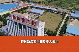 新希望六和饲料销量2800万吨，居全球榜首，净赚15.7亿！养猪不如卖饲料？#新希望六和 #饲料销售 #养猪亏损@曼蒂老师～聚焦养猪视频封面