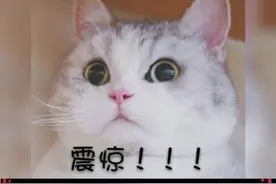这是在造太阳吧视频封面