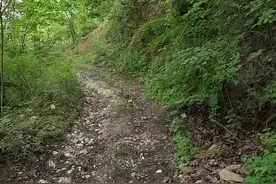 大家协力，互帮互助，十寨沟穿越成功＃无兄弟不越野#走进大自然放松心情 #林间小道 ＃爱车爱生活视频封面
