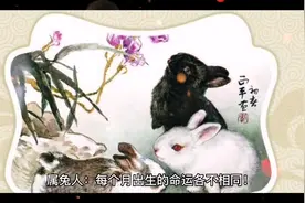 生肖兔每个月出生#传统文化 #弘扬国学经典文化视频封面