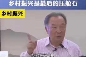 资本下乡已成趋势，沉淀资本将会在乡村振兴中发挥优势#振兴乡村 #农村 #乡村振兴 #新农人计划2021 视频封面