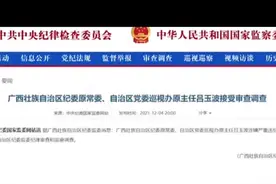 广西一“老纪委”被查：曾多次督导监察视频封面
