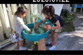不学习的假期，是有意义的假期吗？#vlog日常 #新西兰生活视频封面