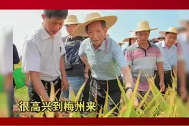 2015年7月，袁隆平院士曾来过梅州，指导咱们的水稻发展。今天，袁老90岁大寿，祝他越活越年轻。视频封面