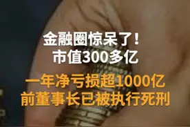 金融圈惊呆了！市值300多亿，一年净亏损超1000亿，前董事长已被执行死刑#赖小民#金融圈 视频封面