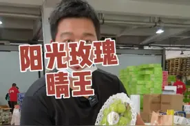 晴王和阳光玫瑰的关系#阳光玫瑰 #晴王 视频封面