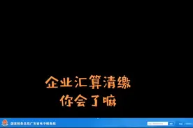 企业年度汇算清缴来啰，明细表的填写根据自己的业务情况勾选填列，后附需要调整的参考比率#会计实操 #@抖音小手视频封面