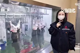 本期带你了解 专业顶级肉牛屠宰流程长啥样？视频封面