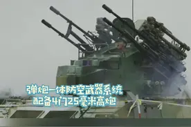 自行高射炮-地面屏障，空中噩梦! 坦克的“贴身护卫”! 杰哥带你直击自行高射炮实弹发射现场! #武器装备 #高射炮 #实弹视频封面