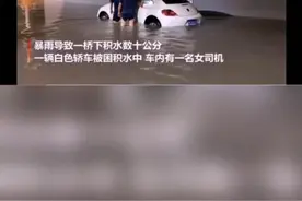 消防员“公主抱” 被救女司机害羞捂脸视频封面