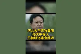 河北大午集团孙大午等人已移送检察院审查起诉视频封面