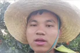 青苔如何除，看完就明白！视频封面