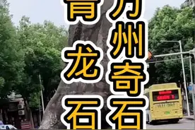 万州青龙石  坊间故事流传多多视频封面