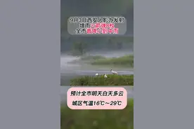 9月3日西安人影办发射增雨火箭弹8枚全市普降小到中雨#你好我的城 #天气冷了视频封面