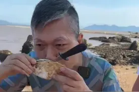 正宗台山三倍体生蚝，海域咸淡水交界处放养，一年四季都保持肉质肥厚鲜嫩不缩水#生蚝 #好物推荐 #古明华古哥视频封面