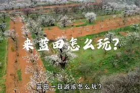 蓝田一日游怎么玩？这份出游攻略赶快收藏起来。