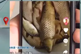 昆明滇池禁捕十年，一老乖竟然直播钓鱼？哦嚯，把滇管局掉来了，我就问你怕不怕？视频封面